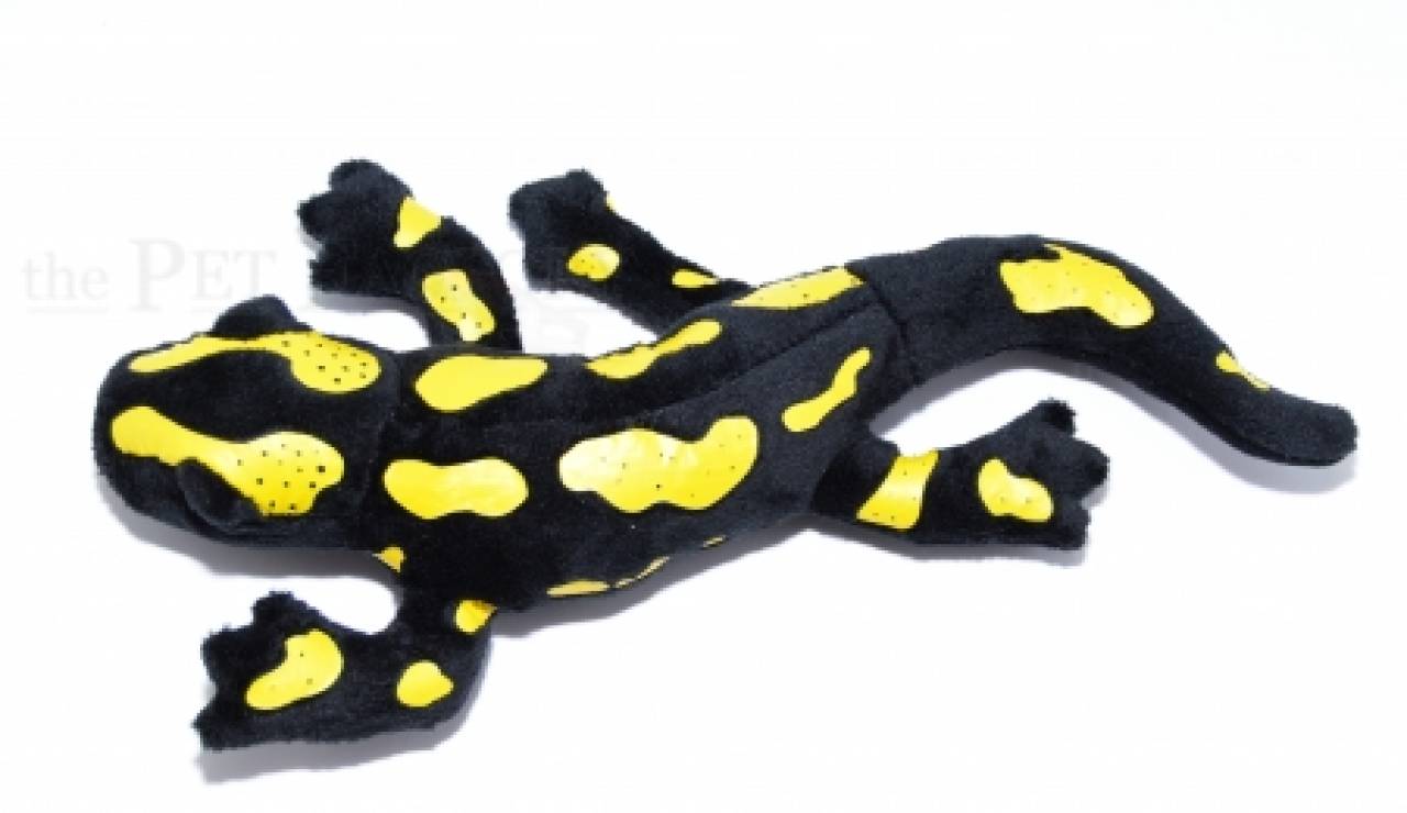 Kuschel Feuersalamander